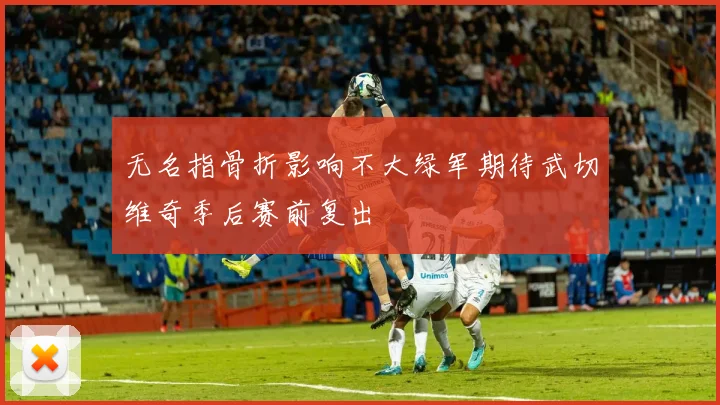 无名指骨折影响不大绿军期待武切维奇季后赛前复出