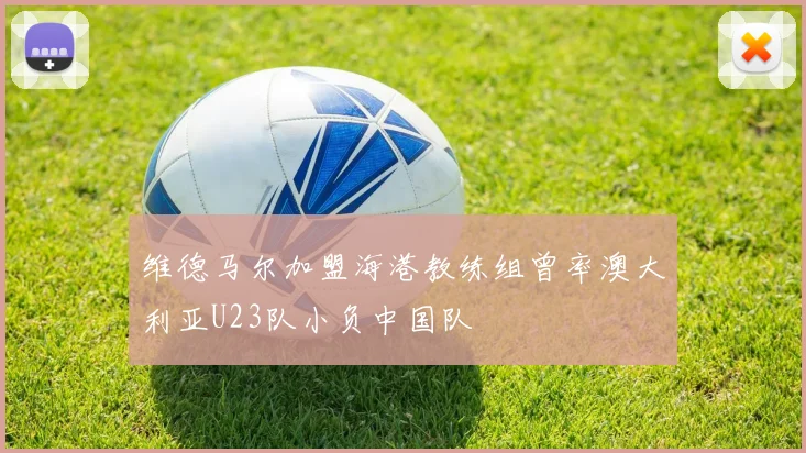 维德马尔加盟海港教练组曾率澳大利亚U23队小负中国队